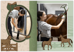 Fotosešit z vlastních fotek| Tiskarik.cz - Horses